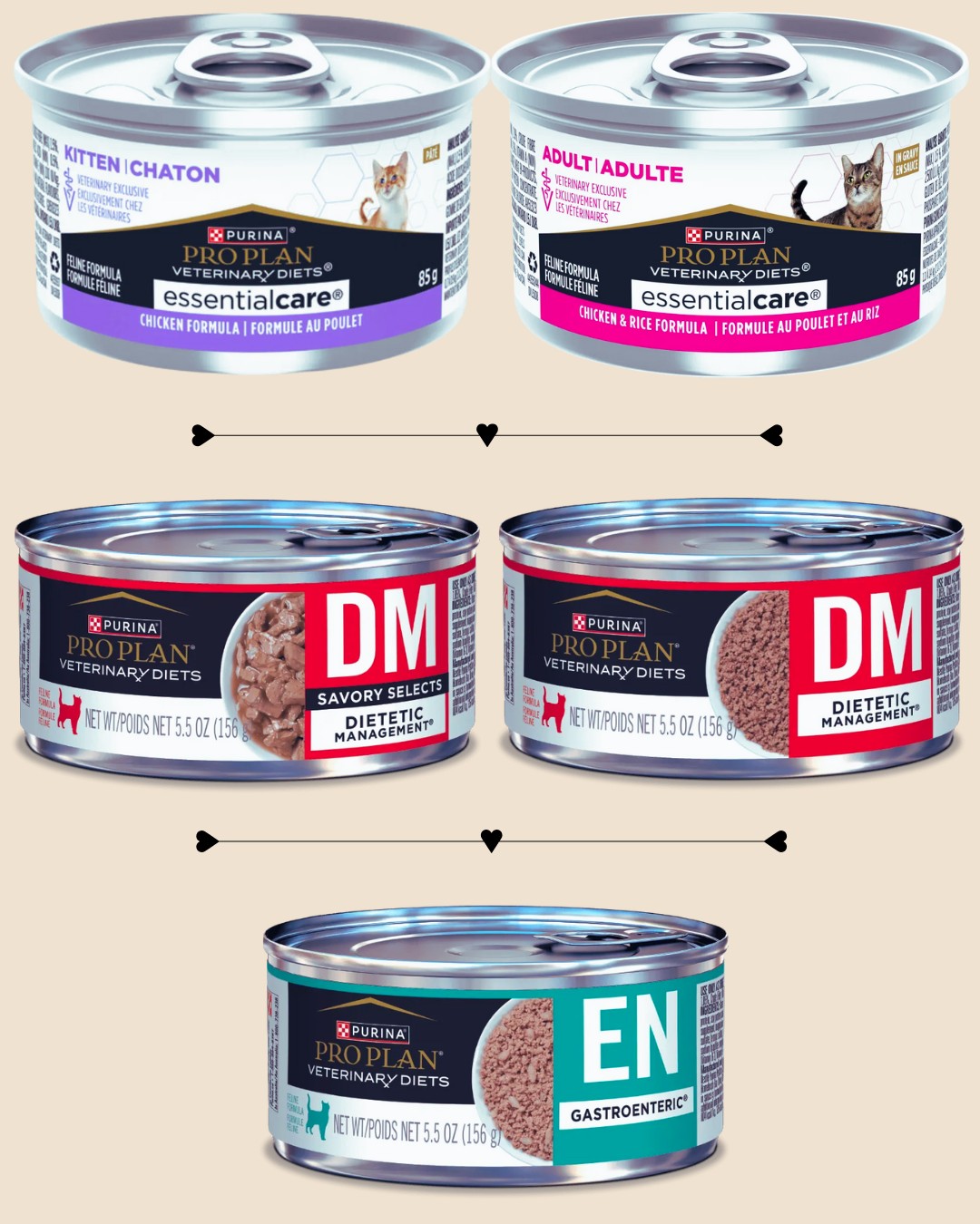 EC, DM, EN EC, DM, EN